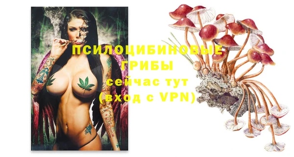 ГАЛЛЮЦИНОГЕННЫЕ ГРИБЫ Алексин